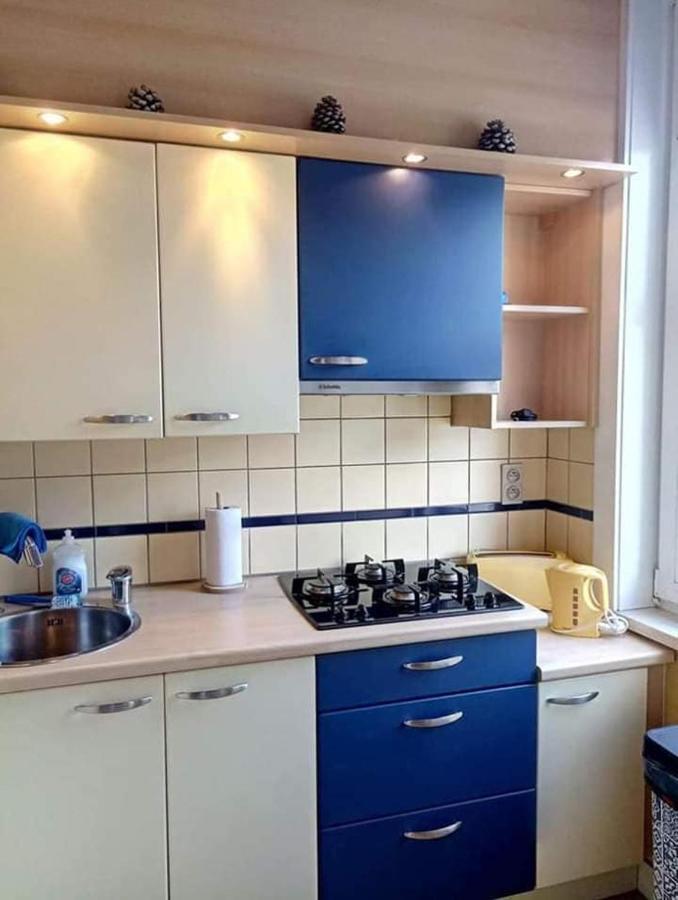 Villa Jean Gezellig Appartement Met Zeezicht بلانكنبرخ المظهر الخارجي الصورة
